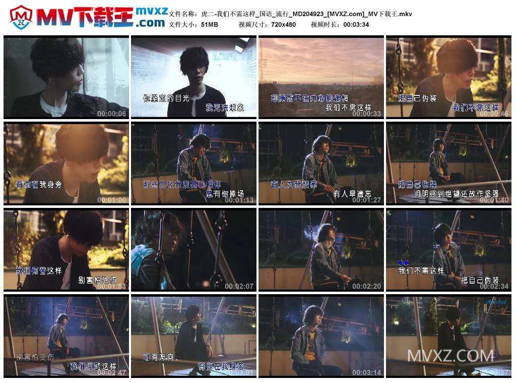 虎二-我们不需这样_国语_流行_MD204923